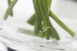 Cratere, Vase, Verre