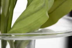 Cratere, Vase, Verre