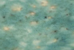 Cresta, Assiette De Service, Ceramique, Turquoise, Ovale