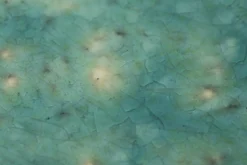 Cresta, Bol De Service, Ceramique, Turquoise, Rond, 37Cm