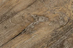 Dineen, Table D'Appoint, Bois, Marron, L