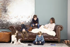 Edimbourg, Canape, Chesterfield, Cuir, Marron Fonce, Trois Places