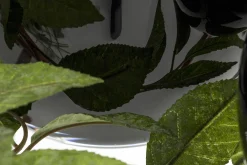 Griegos, Vase, Verre, Noir