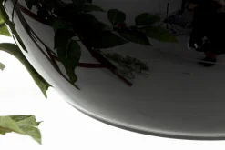 Griegos, Vase, Verre, Noir