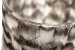 Hannigan, Photophore, Plumes, L