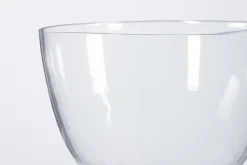 Jildau, Bol, Sur Pied, Souffle A La Bouche