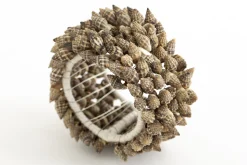 Kanare, Rond De Serviette, Coquillages