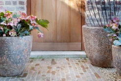 Kronob, Jardiniere, L