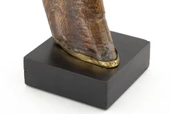 Lucarne, Deco, Corne