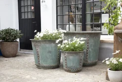 Manoli, Jardiniere, M