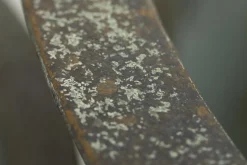 Manoli, Jardiniere, M