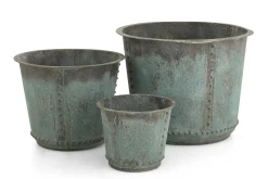 Manoli, Jardiniere, M