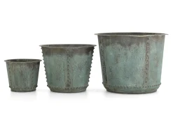 Manoli, Jardiniere, M