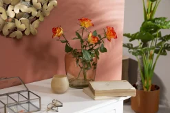 Phileas, Photophore, Verre