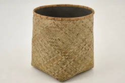 Tizio, Jardiniere, L