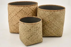 Tizio, Jardiniere, M